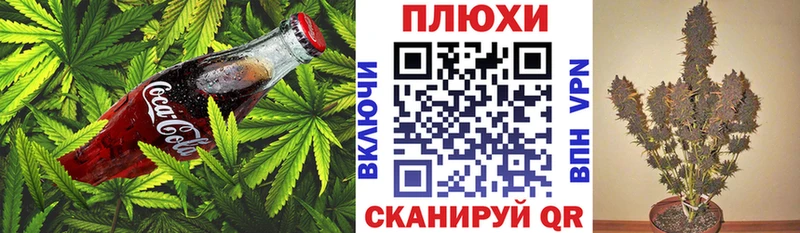 где можно купить   Богородицк  Cannafood конопля 