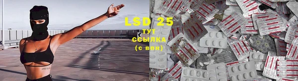 дурь Белокуриха