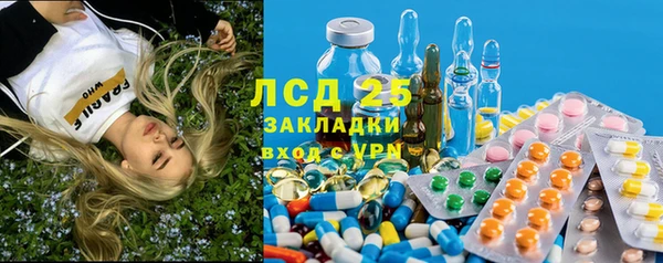 стаф Беломорск