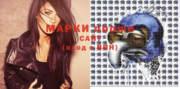 стаф Беломорск