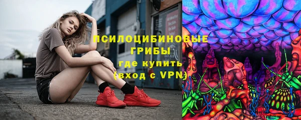 дурь Белокуриха