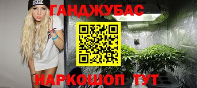 прущие грибы Можга