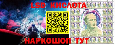 прущие грибы Можга