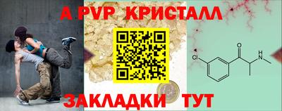 прущие грибы Можга