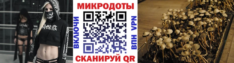 Галлюциногенные грибы ЛСД продажа наркотиков Богородицк