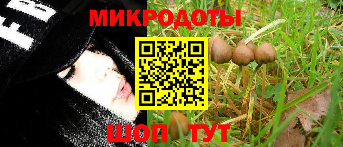 Галлюциногенные грибы мицелий  Псилоцибиновые грибы GOLDEN TEACHER  Вход с VPN  Богородицк 