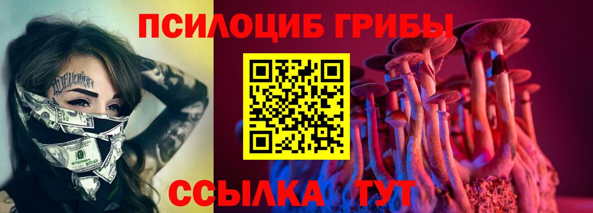 Галлюциногенные грибы Psilocybine cubensis Богородицк